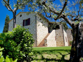 Agriturismo Le Colombe Assisi